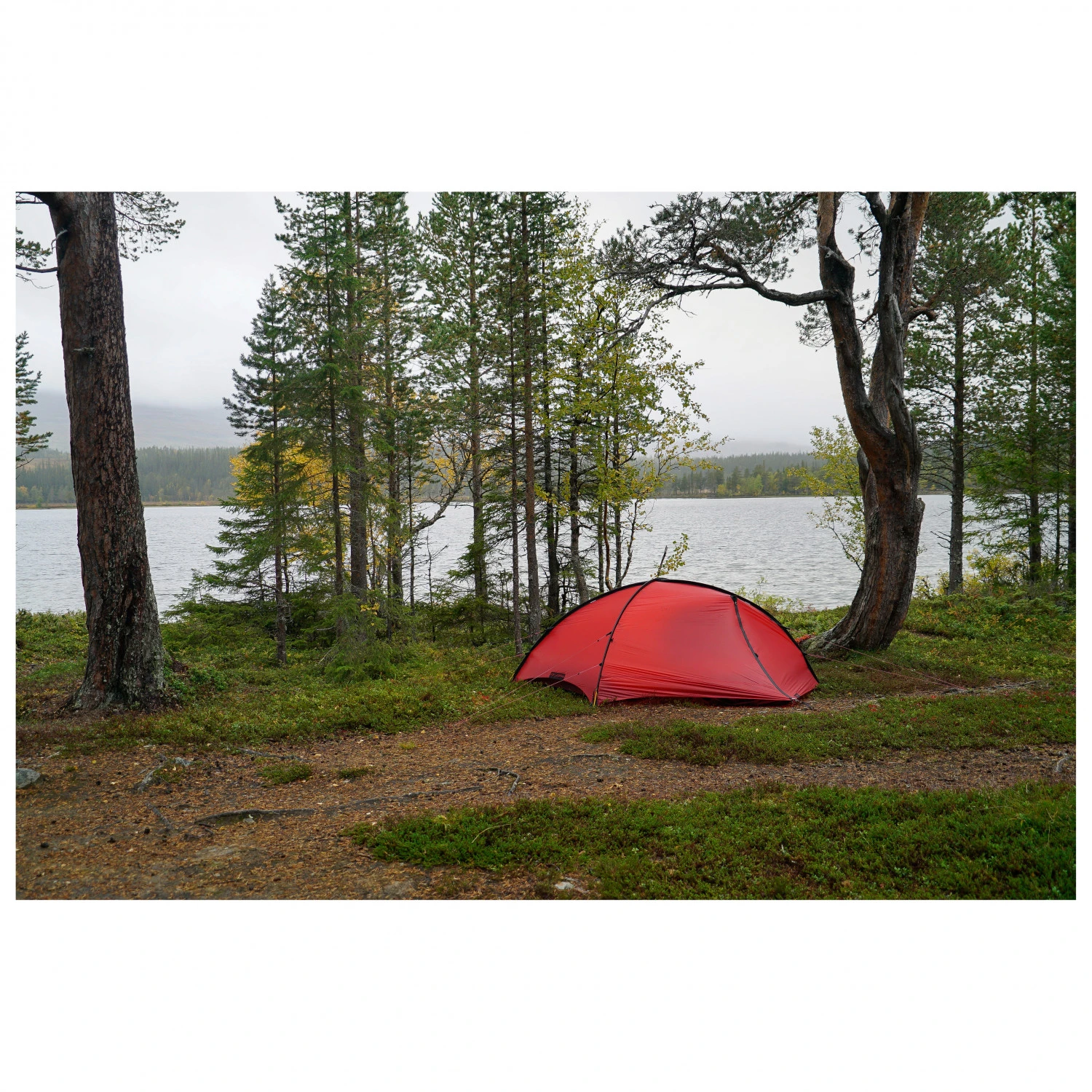 Hilleberg Rogen - 2-Personen Zelt 2 Hilleberg Rogen - 2-Personen Zelt – Bild 2