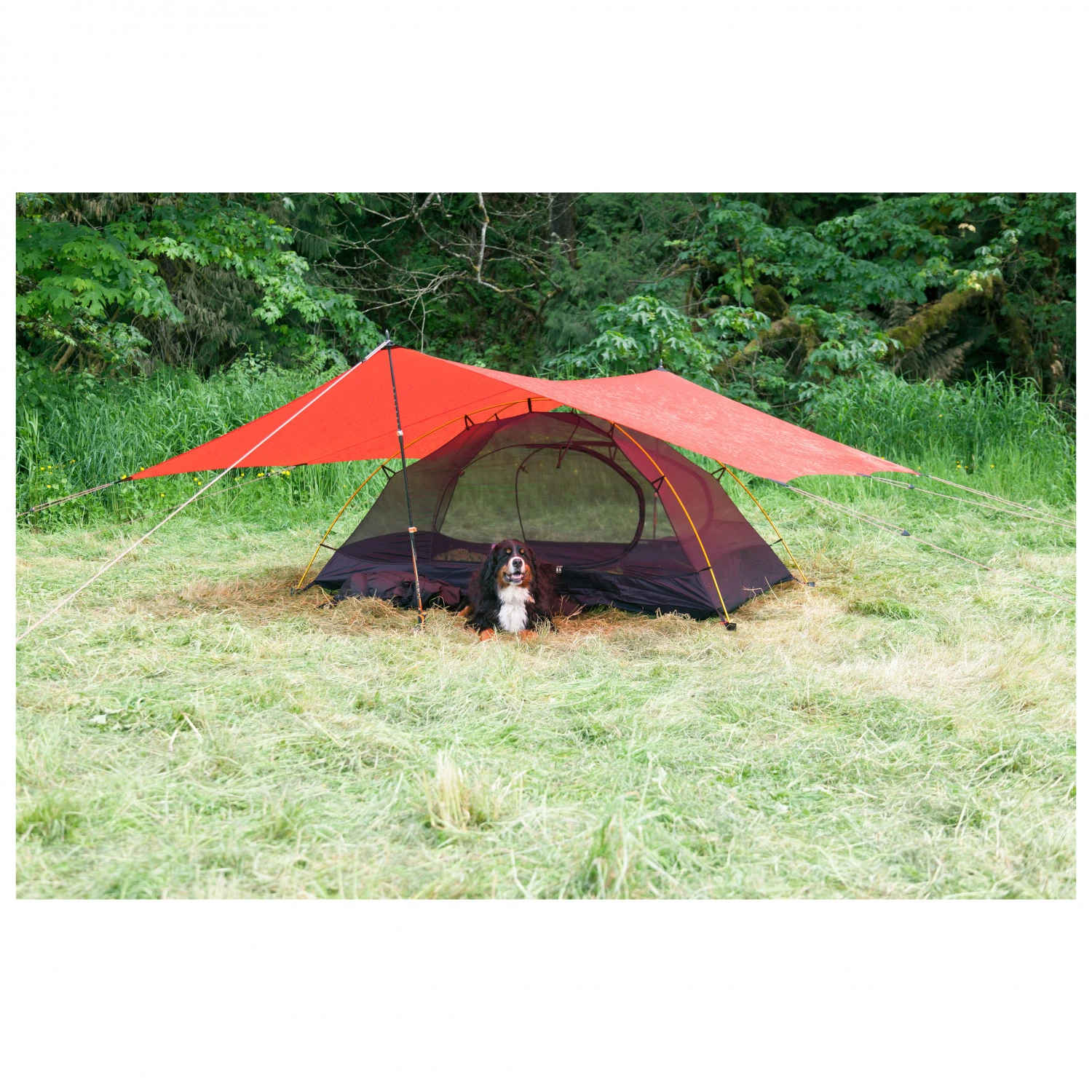 Hilleberg Rogen - 2-Personen Zelt 7 Hilleberg Rogen - 2-Personen Zelt – Bild 7