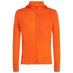 Icebreaker Merino 200 Realfleece Descender L/S Zip Hoodie - Fleecepullover