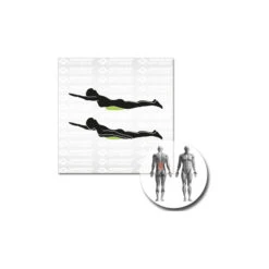 Balance-Kissen Inflatable 22 Balance-Kissen Inflatable -Outdoor-Ausrüstung schildkroet fitness balance kissen inflatable detail 11