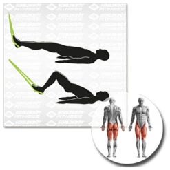 Schlingentrainer / Suspension-Trainer - Schlingentrainer 7 Schlingentrainer / Suspension-Trainer - Schlingentrainer -Outdoor-Ausrüstung schildkroet fitness schlingentrainer suspension trainer schlingentrainer detail 12